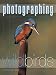 Photographing Wild Birds