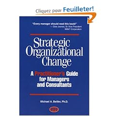 Strategic Organizational Change: A Practitioner's Guide for Managers and Consultants