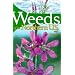 Weeds of the Northern U.S. and Canada: A Guide for Identification