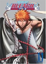 Bleach Vol. 11