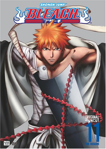 Bleach Vol. 11