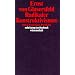 Radikaler Konstruktivismus: Ideen, Ergebnisse, Probleme (suhrkamp taschenbuch wissenschaft)