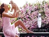 Parfum Pleasures u Sac Parfum Estee Lauder