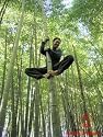 25 + GIANT MOSO BAMBOO SEEDS