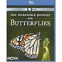NOVA: The Incredible Journey of the Butterflies (Blu-ray)
