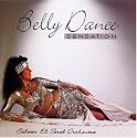 Belly Dance Sensation