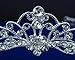 SparklyCrystal Silver Rhinestone Crystal Bridal Wedding Prom Tiara Crown 10036