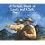 A Picture Book of Lewis and Clark (Picture Book Biography)