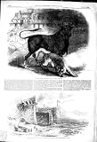 1849 BULL TIGER FIGHT TOROS MADRID SPAIN FRENCH PALO