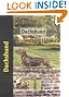 Dachshund