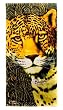 Cheetah Towel