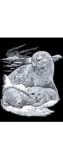 SLVR ENGRV ART SEAL/PUP RBMSILF16