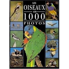 Oiseaux 1000 photos
