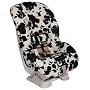 Parkway Booster Car Seat   Purple