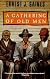 A Gathering of Old Men (Vintage Contemporaries)