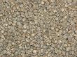 Organic Sumatra Green Coffee Beans - 5lbs