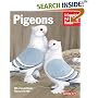 Pigeons (Complete Pet Owner's Manual)