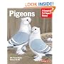 Pigeons (Complete Pet Owner's Manual)