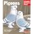 Pigeons (Complete Pet Owner's Manual)
