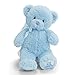Gund My1st Teddy Blue 10