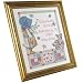 Bucilla 45356 Baby Counted Cross-Stitch Birth-Record Kit, Holly Hobbie