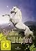 Sarah und das Wildpferd