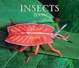 Insects 2008 (Calendar)
