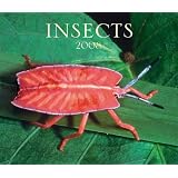 Insects 2008 (Calendar)