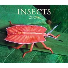 Insects 2008 (Calendar)