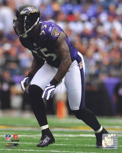 Terrell Suggs 2010 Action Art Poster PRINT Unknown 8x10