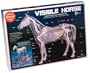 Visible Horse
