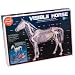Visible Horse