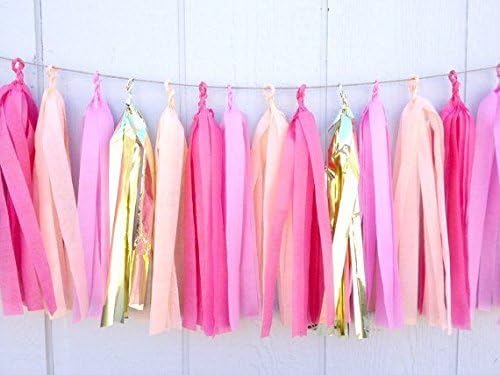 Tissue Paper Hanging Flowers Pom Poms Tassels Garland DIY Kit (Paper Tassels, pack of 15)