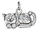 STERLING SILVER ANTIQUED WHIMSICAL CAT CHARM