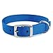 Guardian Gear Double-Layer Nylon Dog Collar, 20-Inch, Blue