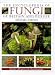 Book The Encyclopedia of Fungi of Britain and Europe: Indentifies 1,000 Species With Color Photographs