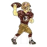 Florida State Seminoles NCAA Light-Up Animated Player Lawn Decoration (44)