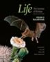 Life: The Science of Biology, Vol. III
