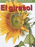 El Girasol/sunflower: Por Dentro Y Por Fuera / Inside And Out (Explora La Naturaleza) (Spanish Edition)