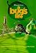 A Bug's Life