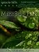 Mansfield Park (Kindle Edition)