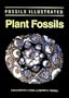 Plant Fossils: The History of Land Vegetation (Fossils Illustrated)