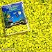 Worldwide Imports Color Gravel 25lb - Neon Yellow (2pc)