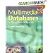 Multimedia Databases: An Object-Relational Approach