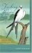 Tracking Desire: A Journey After Swallow-tailed Kites