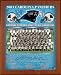 Black 11x13 2002 Carolina Panthers National Football Conference Team Photo Plaque
