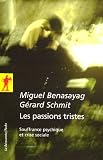 Les passions tristes : Souffrance psychique et crise sociale