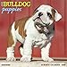 2016 Just Bulldog Puppies Wall Calendar