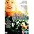 The Diving Bell And The Butterfly [DVD] [2007]