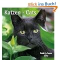Katzen - Cats 2012. Trends & Classics Kalender